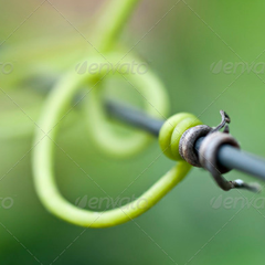 电话在线轰炸测试