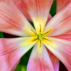 手机被攻击连续收电话