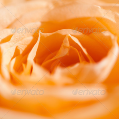 群里卡密便宜的在线轰炸机免费版