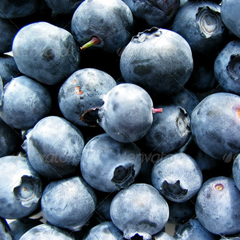 在线轰炸电话网页版免费测试