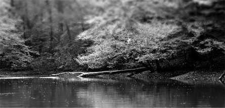 电话在线轰炸测试