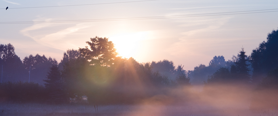 在线轰炸电话网页版免费测试
